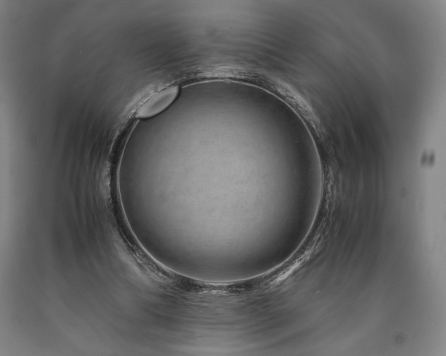 X0000090900298200707301418