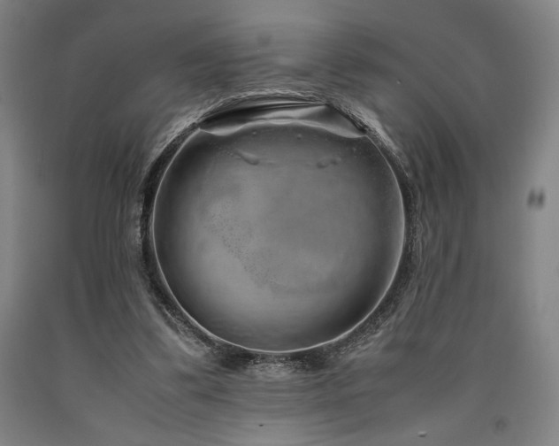 X0000090900299200707301418