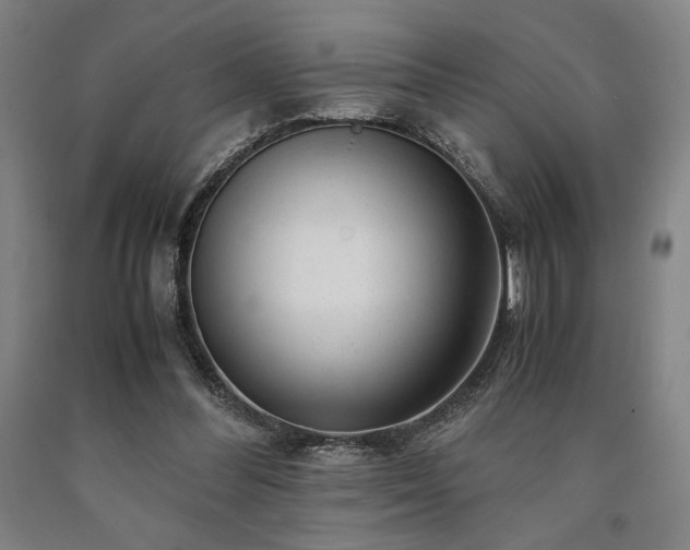 X0000090900300200707301418