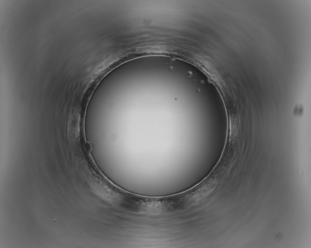 X0000090900301200707301418