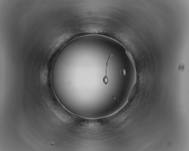 X0000090900304200707301418
