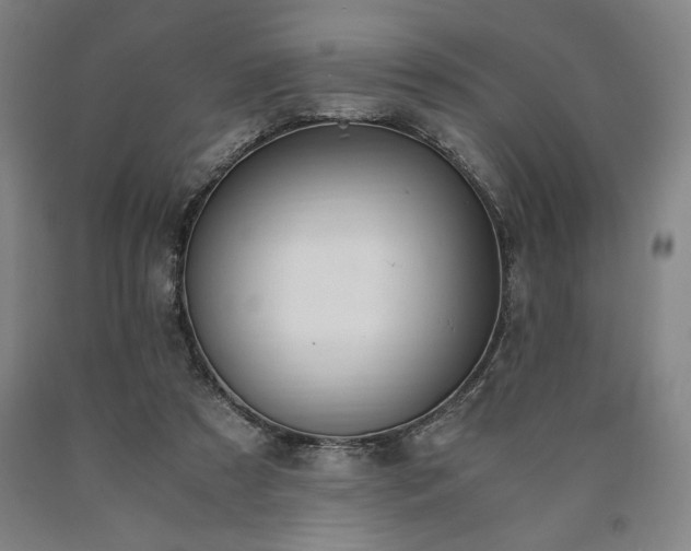 X0000090900305200707301418
