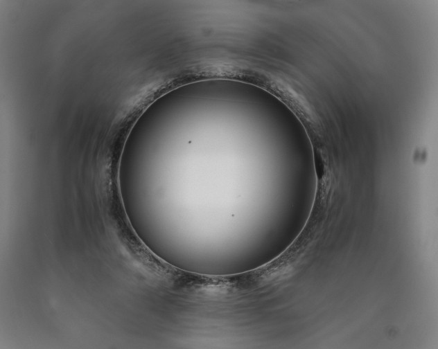 X0000090900306200707301418
