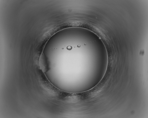 X0000090900307200707301418