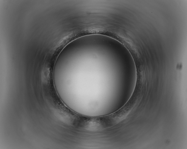 X0000090900308200707301418