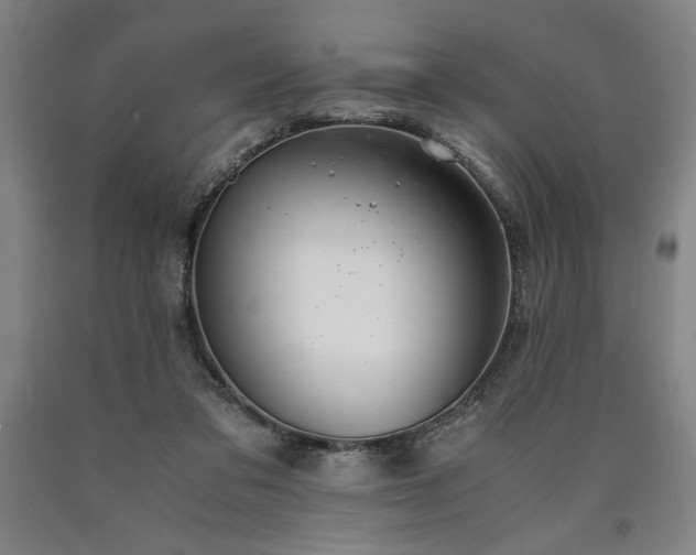 X0000090900309200707301418