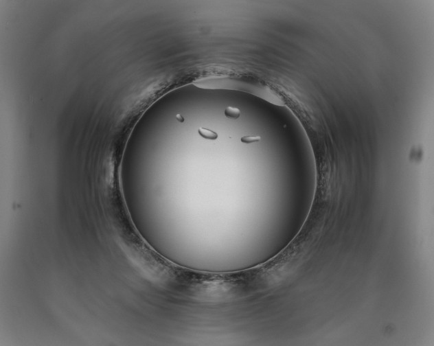 X0000090900310200707301418