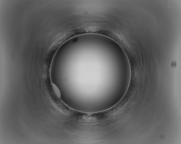 X0000090900311200707301418