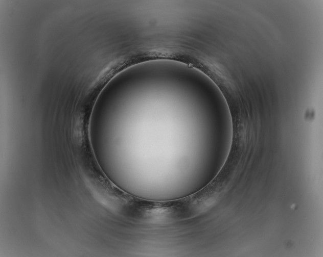 X0000090900312200707301418