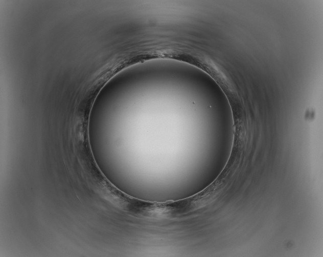 X0000090900313200707301418