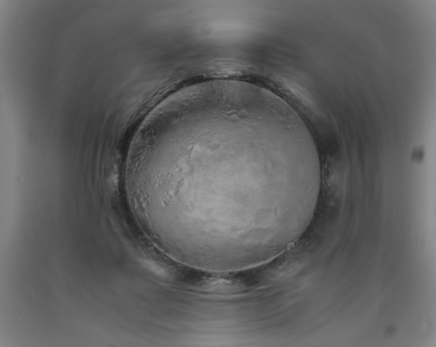 X0000090900315200707301418