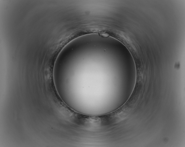 X0000090900317200707301418