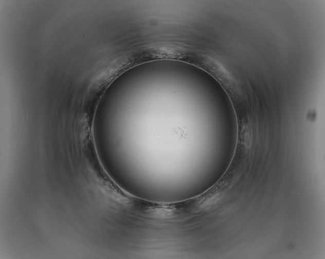 X0000090900318200707301418