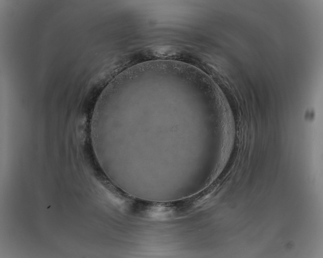 X0000090900319200707301418