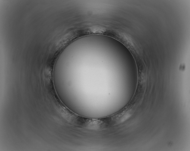 X0000090900321200707301418