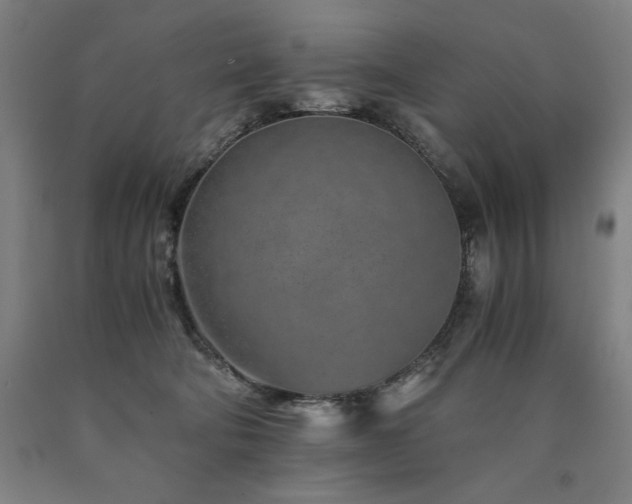 X0000090900322200707301418