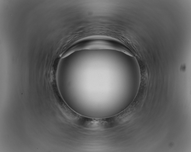 X0000090900323200707301418