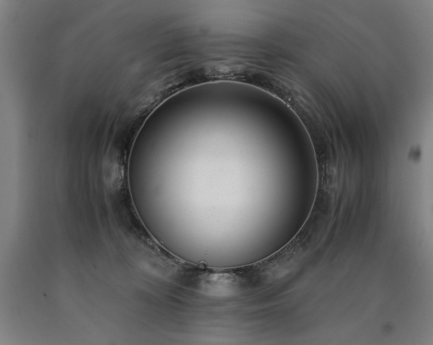 X0000090900324200707301418