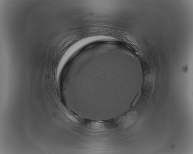 X0000090900325200707301418