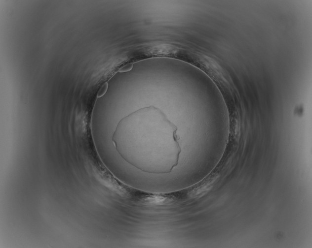 X0000090900326200707301418