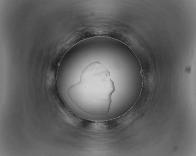 X0000090900327200707301418
