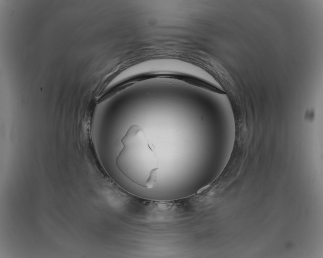 X0000090900329200707301418