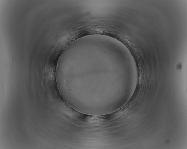 X0000090900331200707301418