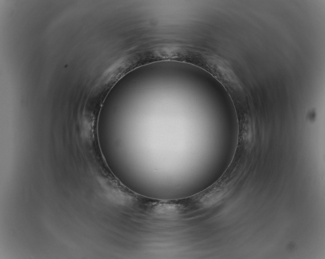 X0000090900332200707301418
