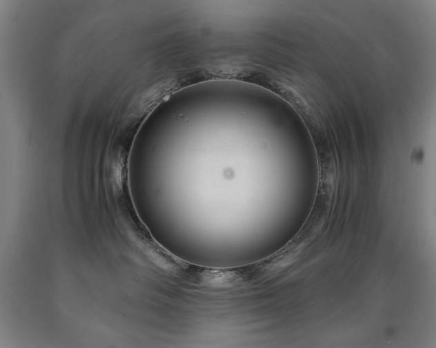X0000090900334200707301418