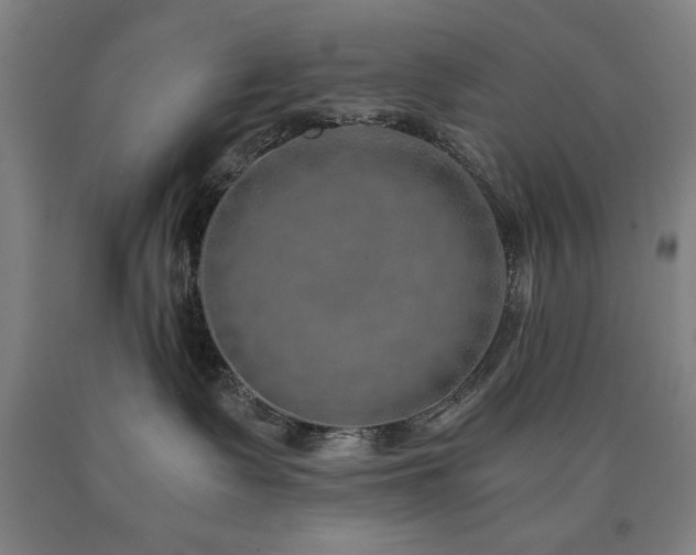 X0000090900335200707301418