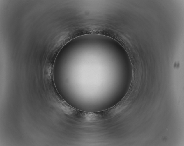 X0000090900336200707301418