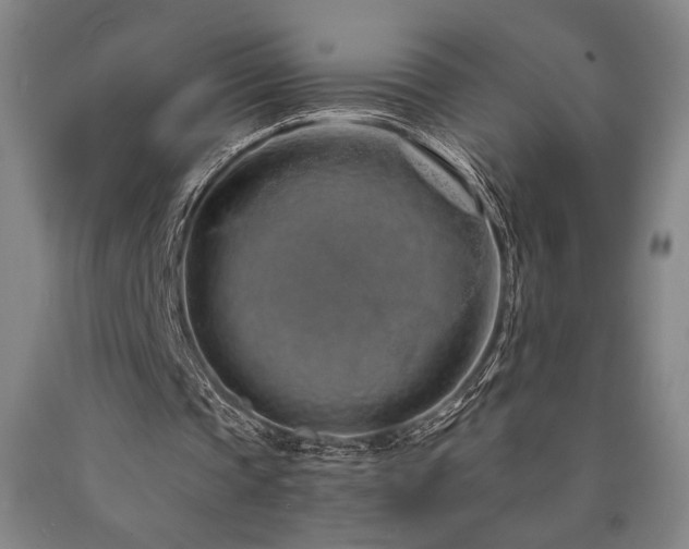 X0000090900337200707301417