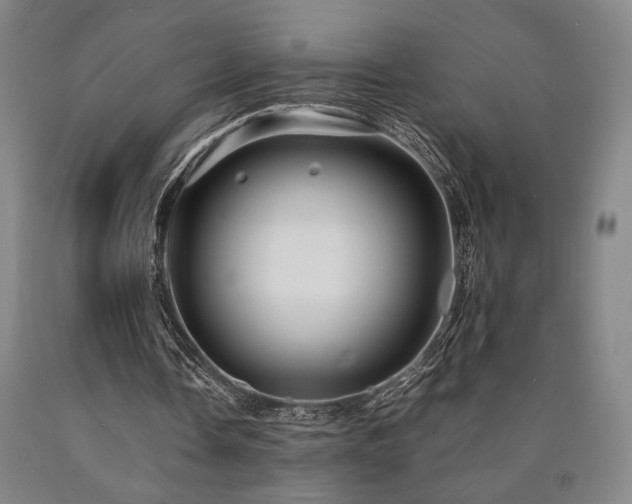 X0000090900338200707301417
