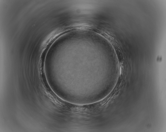 X0000090900339200707301417