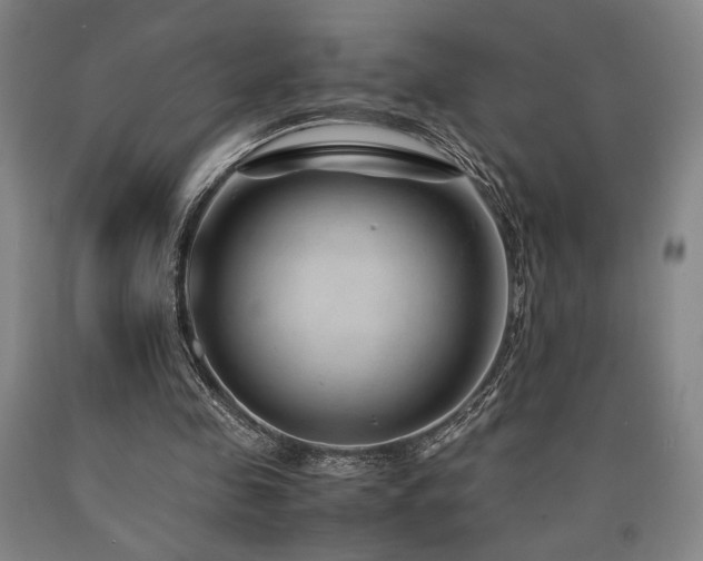 X0000090900341200707301417