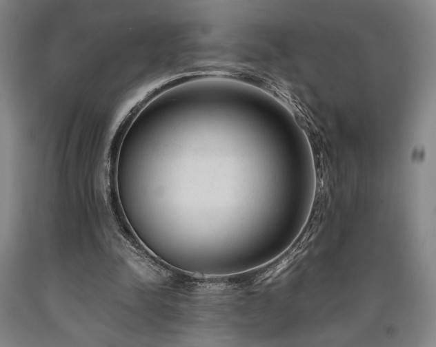 X0000090900342200707301417