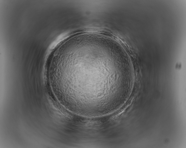 X0000090900343200707301417