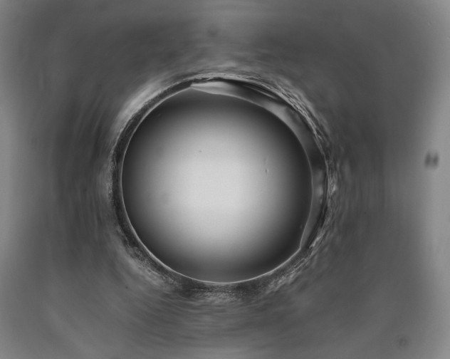 X0000090900344200707301417