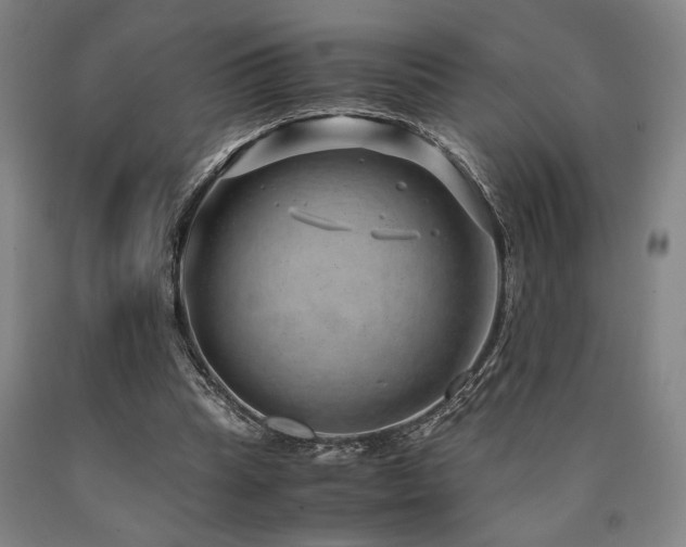 X0000090900345200707301418