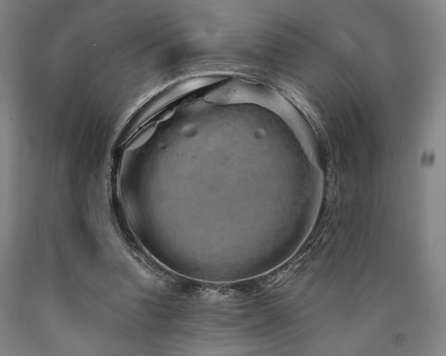 X0000090900346200707301418