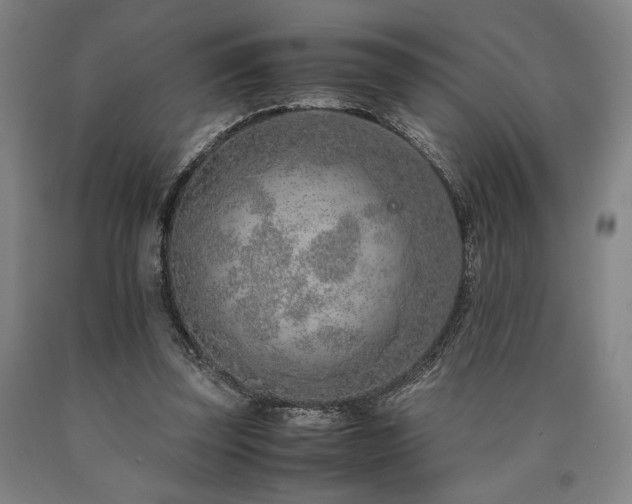 X0000090900347200707301418