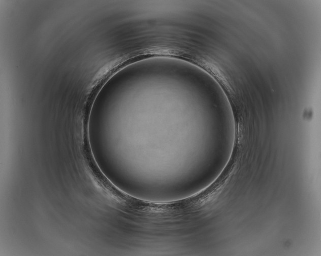 X0000090900349200707301418