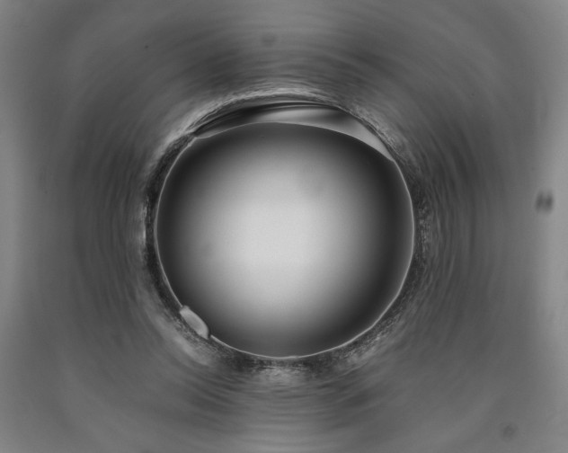 X0000090900350200707301418