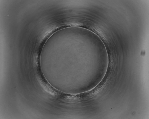 X0000090900351200707301418