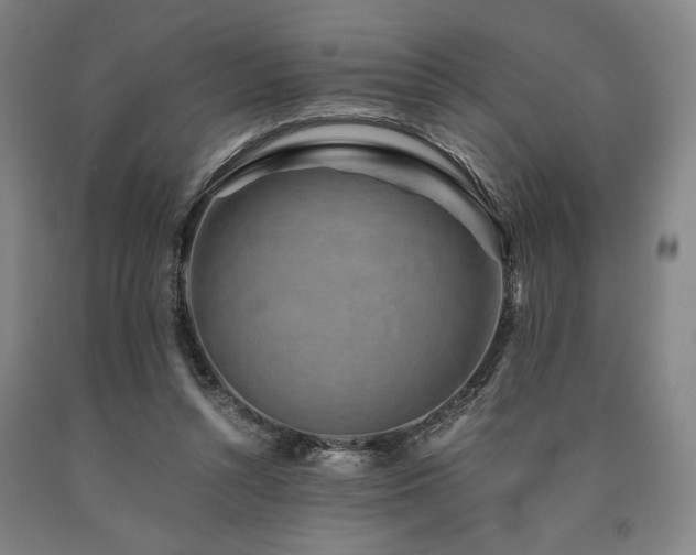 X0000090900352200707301418