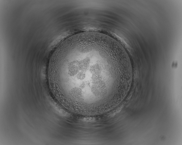X0000090900353200707301418