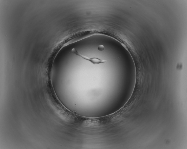 X0000090900354200707301418