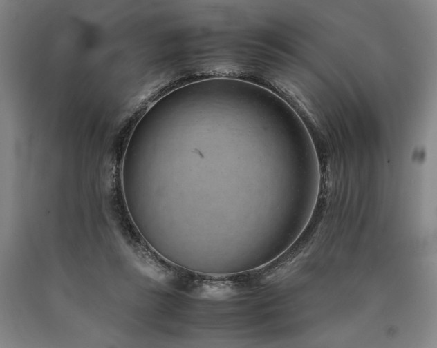 X0000090900355200707301418