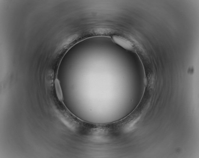 X0000090900356200707301418