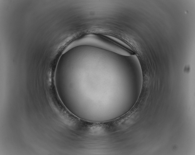 X0000090900358200707301418